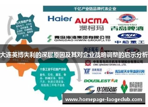 大连英博失利的深层原因及其对企业战略调整的启示分析