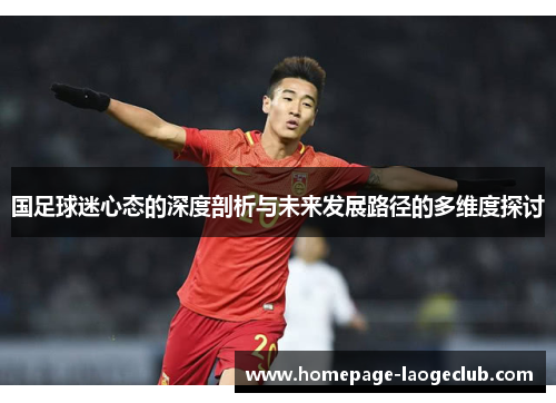 国足球迷心态的深度剖析与未来发展路径的多维度探讨