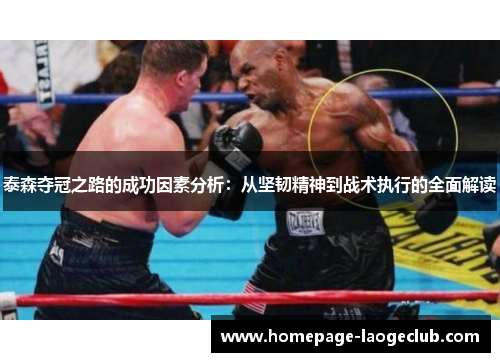 泰森夺冠之路的成功因素分析：从坚韧精神到战术执行的全面解读