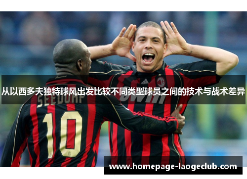 从以西多夫独特球风出发比较不同类型球员之间的技术与战术差异