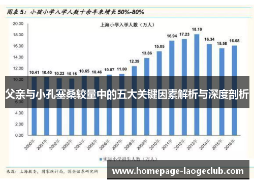 父亲与小孔塞桑较量中的五大关键因素解析与深度剖析