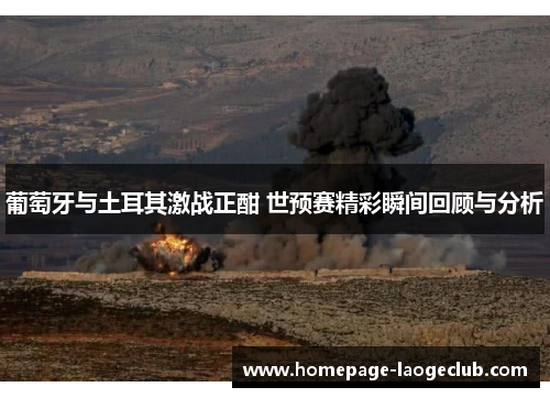 葡萄牙与土耳其激战正酣 世预赛精彩瞬间回顾与分析