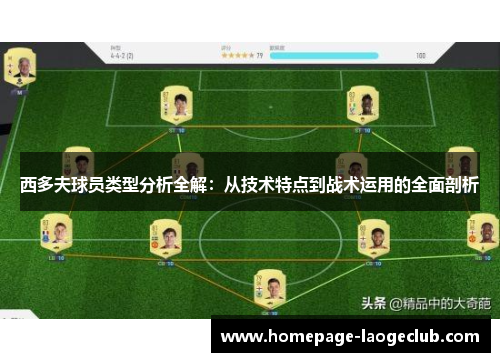 西多夫球员类型分析全解：从技术特点到战术运用的全面剖析