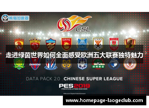 走进绿茵世界如何全面感受欧洲五大联赛独特魅力