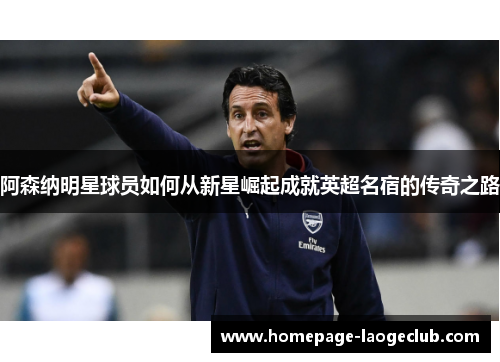 阿森纳明星球员如何从新星崛起成就英超名宿的传奇之路