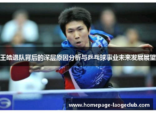 王皓退队背后的深层原因分析与乒乓球事业未来发展展望 王皓退队背后的深层原因分析与乒乓球事业未来发展展望