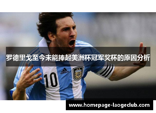 罗德里戈至今未能捧起美洲杯冠军奖杯的原因分析