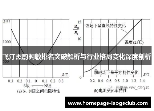 飞汀杰蔚阀敏排名突破解析与行业格局变化深度剖析 飞汀杰蔚阀敏排名突破解析与行业格局变化深度剖析