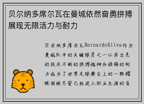 贝尔纳多席尔瓦在曼城依然奋勇拼搏展现无限活力与耐力